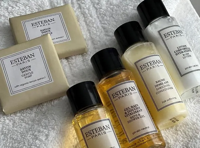 모리스 그랑 불르바르 3*