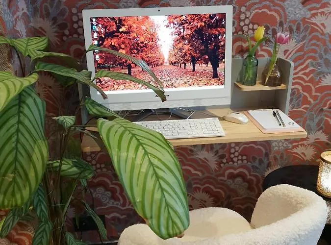 Moris Grands Boulevards 3*