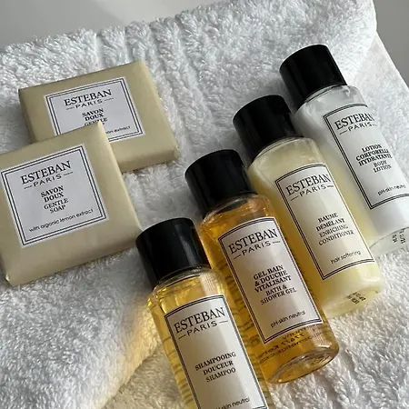 モリス グラン ブルヴァール 3*