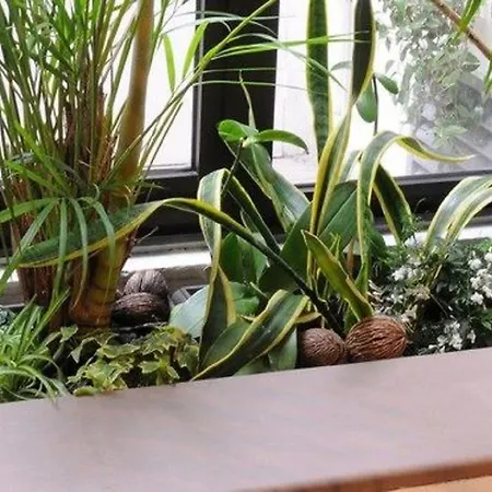 Moris Grands Boulevards Hotel Paris