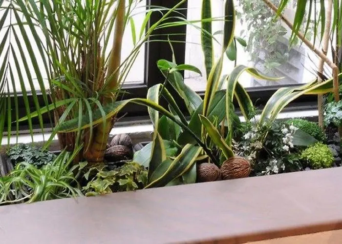 Moris Grands Boulevards Hotell Paris